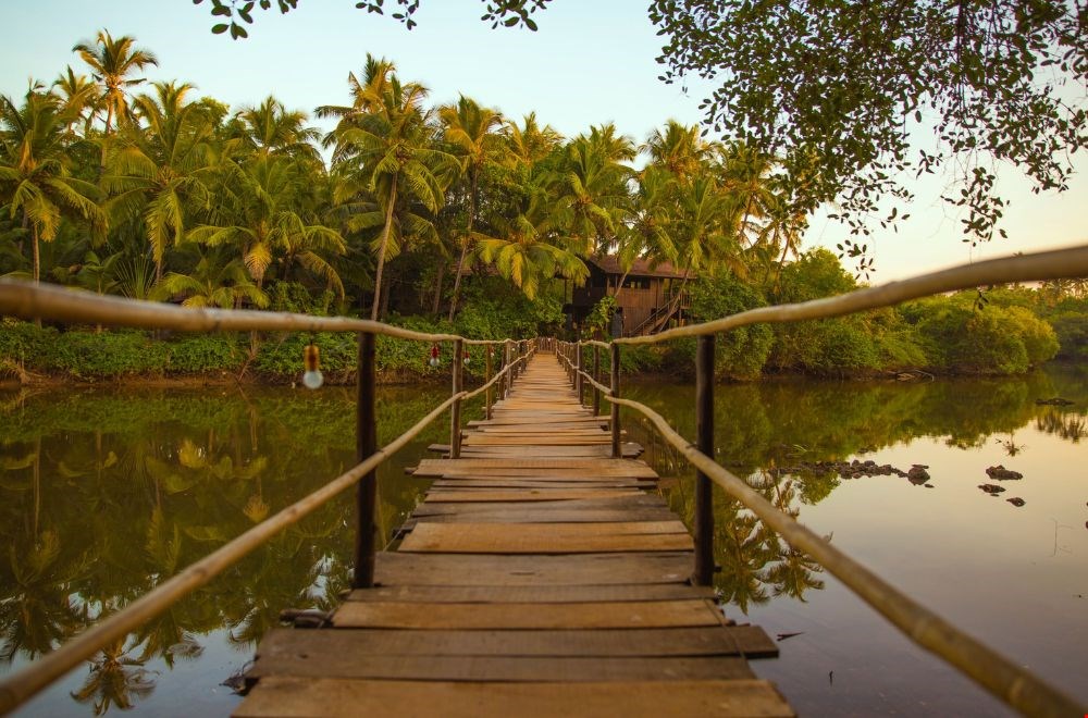 Welk pad ga jij bewandelen? Welk pad ga jij bewandelen?